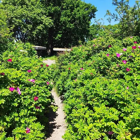 Дом отдыха 6 Person In Sjolund-by Traum *